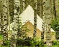 Трехместный номер. Глэмпинг Глэмпинг -отель Берег Грифона 
