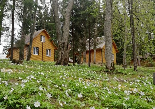 Гостевой дом База отдыха  деревня Калгановка Скребловское сельское поселение, деревня Калгановка