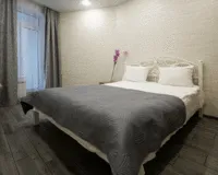Апартаменты 1 спальня. Апартаменты Apartments near the bus station Воронеж
