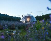 Четырехместный номер «Люкс». Глэмпинг Глэмпинг "ALTAY NEBO" село Узнезя