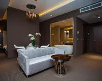 Двухместный номер с 1 кроватью «Люкс». Отель Spa-отель Ария Вологда