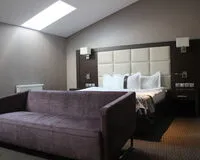 Двухместный номер с 1 кроватью «Люкс». Отель Spa-отель Ария Вологда