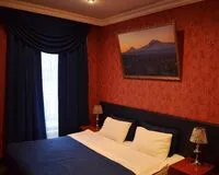 Двухместный номер с 1 кроватью. Отель Отель Hotel Ani Санкт-Петербург