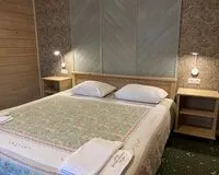 Двухместный номер с 1 кроватью «Люкс». Гостевой дом Гостевой дом Усадьба Демидова 