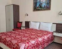 Двухместный номер с 1 кроватью. Мини-отель Мини-отель Репин Екатеринбург