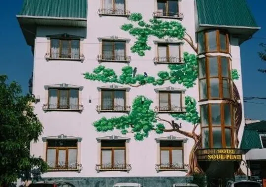 Гостиница Гостиница Soul Place Краснодар Краснодар, Центральный внутригородской округ, микрорайон Центральный, улица Костылева, 193