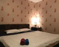Двухместный номер с 1 кроватью. Апартаменты Апартаменты First Чехов