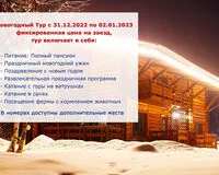 Двухместный номер «ДеЛюкс». Гостевой дом Гостевой дом Зеленая миля деревня Пятинское