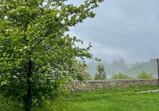 Отель Парк-отель Байкальские сезоны Иркутский район