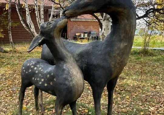 Отель Парк-отель Байкальские сезоны Иркутский район