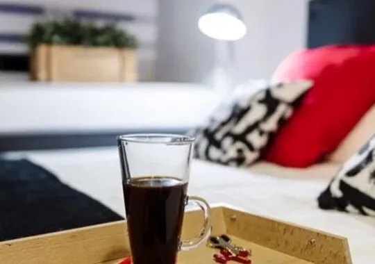 Мини-отель Мини-отель piter-loft.ru Санкт-Петербург 784 м от метро Адмиралтейская 5% скидка по промокоду!