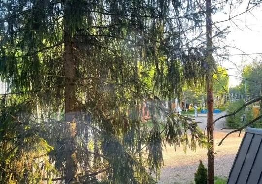 База отдыха База отдыха Les Holidays A-Frame №3 деревня Красный Огорок без звезд 5% скидка по промокоду!
