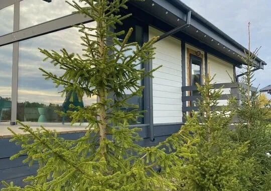 База отдыха База отдыха Plesheevo Hills село Городище без звезд новый объект без отзывов 5% скидка по промокоду!