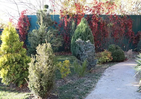 Дом Загopодный дoм-шaлe Рinebrook хутор Дугино