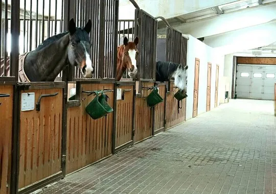 База отдыха База отдыха Тукзар деревня Рябцево без отзывов Забронируй по своей цене!
