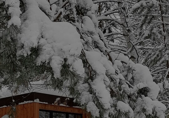 Глэмпинг Alpen Camp посёлок Передовой без звезд новый объект