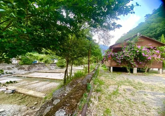 База отдыха База отдыха Holiday Park Жоэквара Гагра без звезд Забронируй по своей цене! 5% скидка по промокоду!