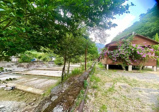 База отдыха База отдыха Holiday Park Жоэквара Гагра новый объект без отзывов