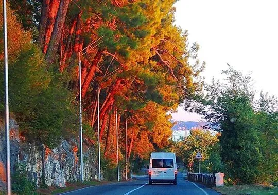 База отдыха База отдыха Holiday Park Жоэквара Гагра