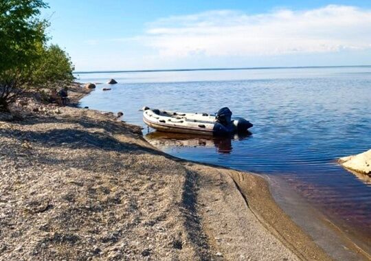 Глэмпинг Ильмера Старорусский район без звезд без отзывов