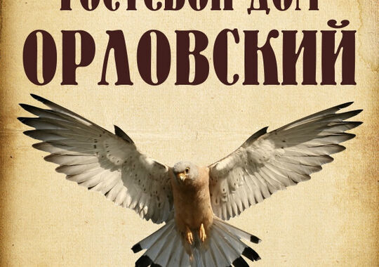 Гостевой дом Гостевой Дом Орловский Великий Новгород без звезд новый объект