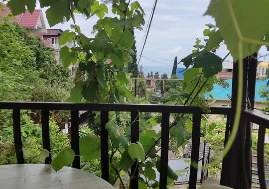 Гостевой дом Гостевой дом Под пальмой Сочи без отзывов Забронируй по своей цене! 5% скидка по промокоду!