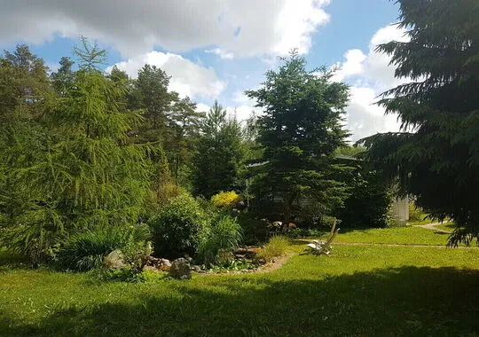 Отель Отель Старая Кууса посёлок Климово