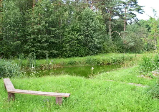 Отель Отель Старая Кууса посёлок Климово