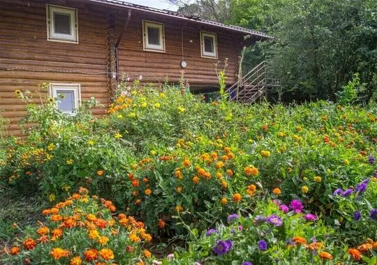 Гостевой дом База отдыха Фокино-Приволжье село Фокино Забронируй по своей цене!