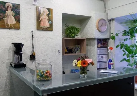 Мини-отель Мини-отель Pushkinskaya 8 Mini Hotel Санкт-Петербург 5 отзывов