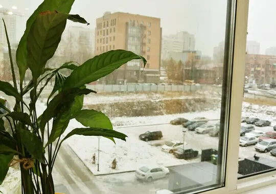 Апартаменты Апартаменты Инские холмы 416 Новосибирск без отзывов Забронируй по своей цене!