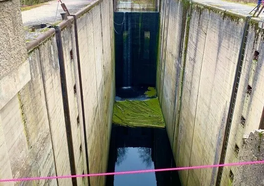Гостевой дом Гостевой дом Gerd Haus посёлок городского типа Железнодорожный