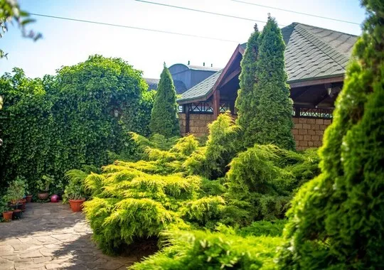 Мини-отель Мини-отель Крымские Зори посёлок городского типа Новофёдоровка без отзывов Забронируй по своей цене!