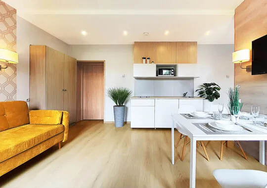 Апартаменты Апартаменты ARS apartments Калининград
