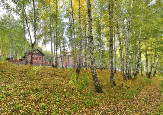Отель Эко-отель Лесная усадьба село Кусимовского Рудника без звезд новый объект 5% скидка по промокоду!