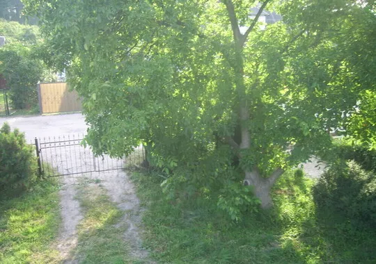 Дом Гостевой дом в Балтийске Балтийск Забронируй по своей цене! 5% скидка по промокоду!