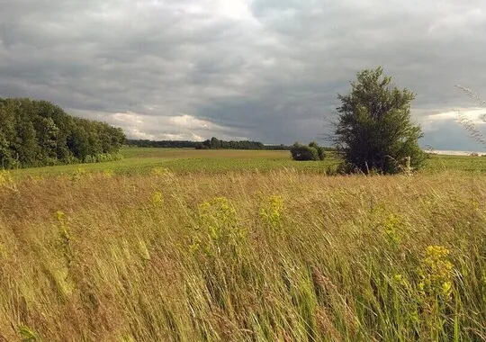 Дом Дом Бунинские аллеи село Нижний Воргол без звезд новый объект