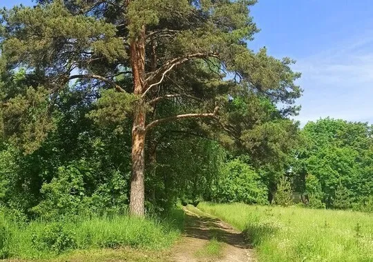 Дом Дом Бунинские аллеи село Нижний Воргол новый объект Забронируй по своей цене!