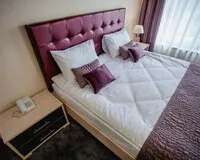 Двухместный номер с 1 кроватью «ДеЛюкс» Отель Отель Alex Aqua Hotel Санкт-Петербург 3 звезды