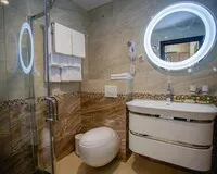 Двухместный номер с 1 кроватью «ДеЛюкс» Отель Отель Alex Aqua Hotel Санкт-Петербург 5% скидка по промокоду!