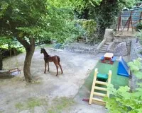 Двухместный номер с 1 кроватью, душем и туалетом Гостевой дом Гостевой дом Солнечный бриз посёлок городского типа Гаспра без отзывов 5% скидка по промокоду!
