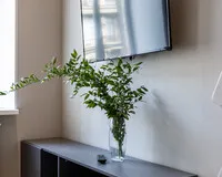 Апартаменты «Комфорт» Апартаменты Апартаменты Брискорн Санкт-Петербург метро Маяковская 5% скидка по промокоду!