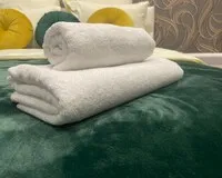 Двухместный номер с 1 кроватью, душем и туалетом Мини-отель Мини-отель A&O Apart Санкт-Петербург метро Лиговский проспект 241 м от метро Лиговский проспект без звезд