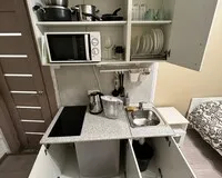 Апартаменты 2 местные с кухней Апартаменты Апартаменты Студия на ул. Боровая д. 11 Санкт-Петербург метро Лиговский проспект