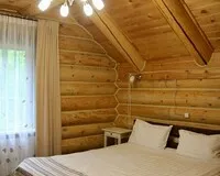 Двухместный номер с 1 кроватью «Стандарт» Отель Парк-отель Байкальские сезоны Иркутский район 3 звезды новый объект