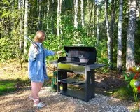 Дом/коттедж 2 спальни Глэмпинг Глэмпинг Les Holidays A-Frame №2 деревня Красный Огорок 5% скидка по промокоду!