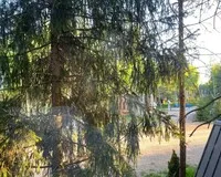 Дом/коттедж 2 спальни База отдыха База отдыха Les Holidays A-Frame №3 деревня Красный Огорок без отзывов Забронируй по своей цене! 5% скидка по промокоду!