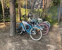 Дом/коттедж 2 спальни База отдыха Les Holidays A-Frame №6 деревня Красный Огорок новый объект без отзывов Забронируй по своей цене!