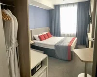 Двухместный номер с 1 кроватью «Стандарт» Отель Spa-отель Источник Тюмень без звезд