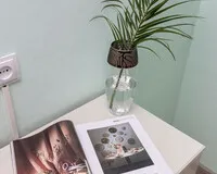 Двухместный номер с 1 кроватью «Комфорт» Мини-отель Мини-отель Белое золото Санкт-Петербург
